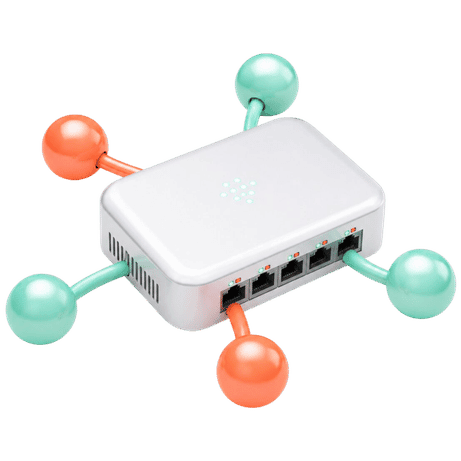 Data Networking